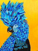 Load image into Gallery viewer, Dream of a Black Cockatoo